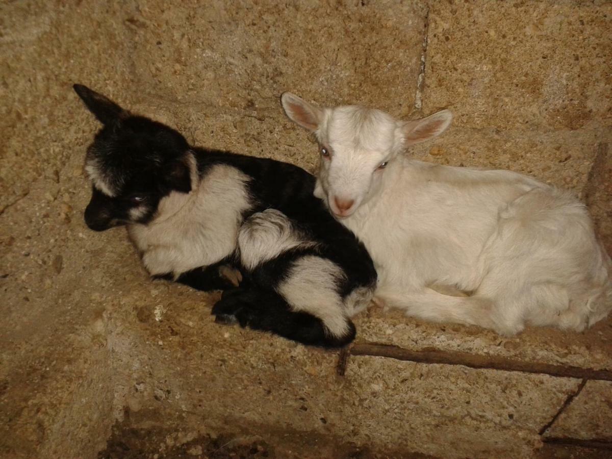 Agrotourism Himara Hotel Kültér fotó