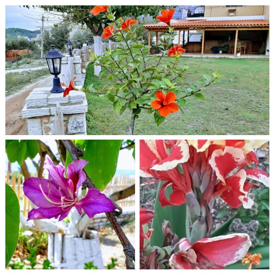 Agrotourism Himara Hotel Kültér fotó